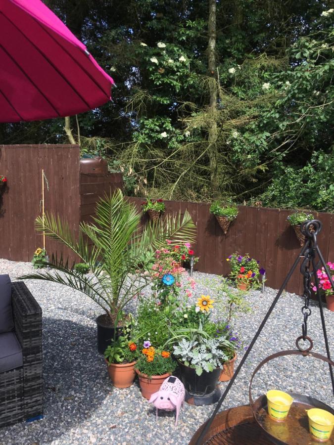 Bankhead Steading Accommodation Aberdeenshire Gamrie 外观 照片